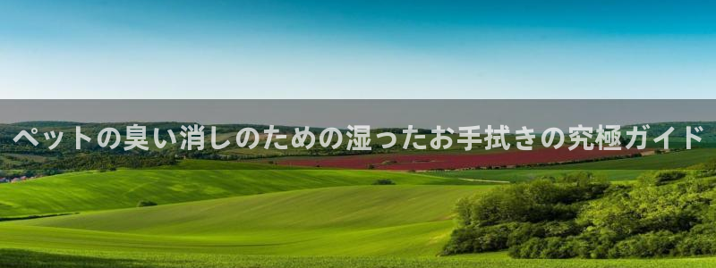 尊龙凯时的钱能退回来吗：ペットの臭い消しのための湿ったお