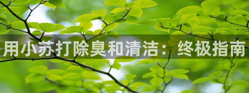 尊龙凯时公司官网